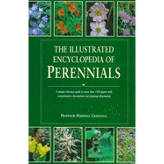 Pre-Owned The Illustrated Encyclopedia of Perennials: A Unique Reference Guide to More Than 1500 Plants with Comprehensive Descriptions and Planting Information (Hardcover) 1840650710 9781840650716