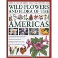 thumbnail image 1 of Pre-Owned The Illustrated Encyclopedia of Wild Flowers and Flora of the Americas: An Authoritative Guide to More Than 750 Wild Flowers of the USA, Canada, Centr (Hardcover) 0754817504 9780754817505, 1 of 1