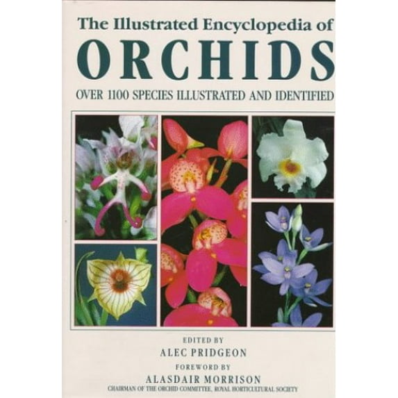 Pre-Owned The Illustrated Encyclopedia of Orchids (Hardcover) 0881922676 9780881922677
