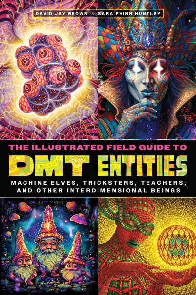 Pre-Owned The Illustrated Field Guide to DMT Entities: Machine Elves, Tricksters, Teachers, and Other Interdimensional Beings