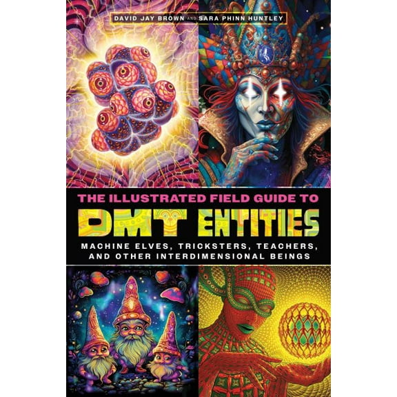 Pre-Owned The Illustrated Field Guide to DMT Entities: Machine Elves, Tricksters, Teachers, and Other Interdimensional Beings