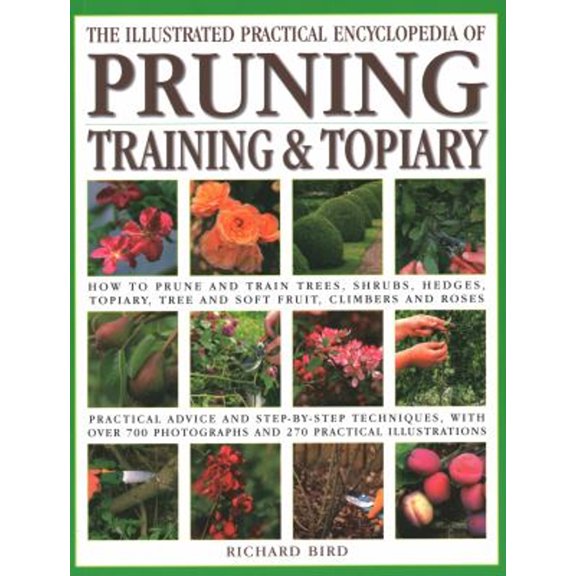 Pre-Owned Illustrated Practical Encyclopedia of Pruning, Training and Topiary: How to Prune and Train Trees, Shrubs, Hedges, Topiary, Tree and Soft Fruit, Climb (Paperback) 1846814723 9781846814723