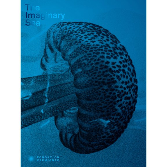 The Imaginary Sea, (Hardcover)
