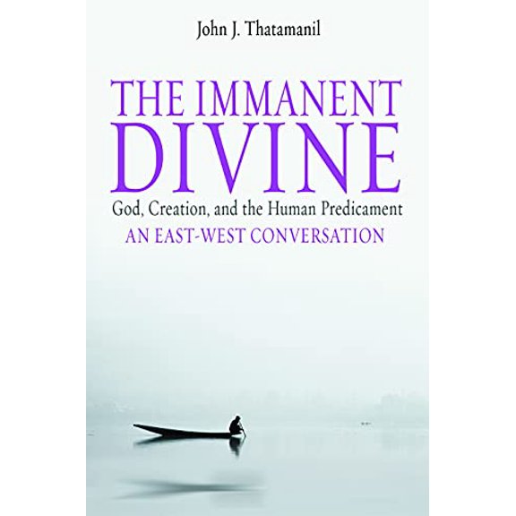 Pre-Owned The Immanent Divine: God, Creation, and the Human Predicament (Paperback) 0800637933 9780800637934