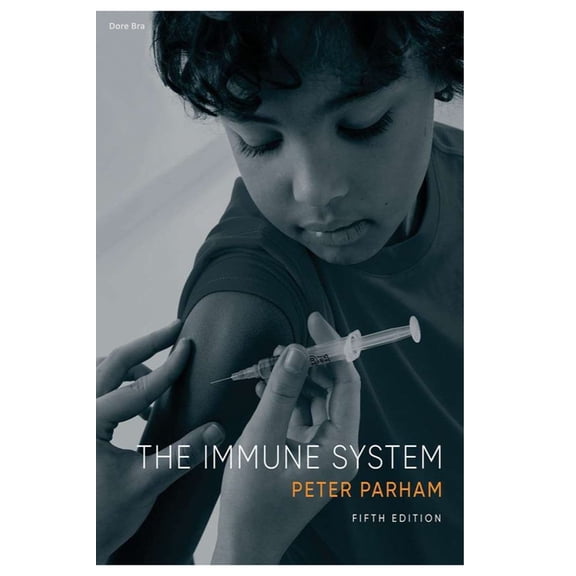 The Immune System (Paperback)
