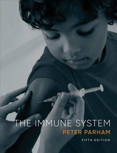Pre-Owned The Immune System (Paperback) 0393533352 9780393533354