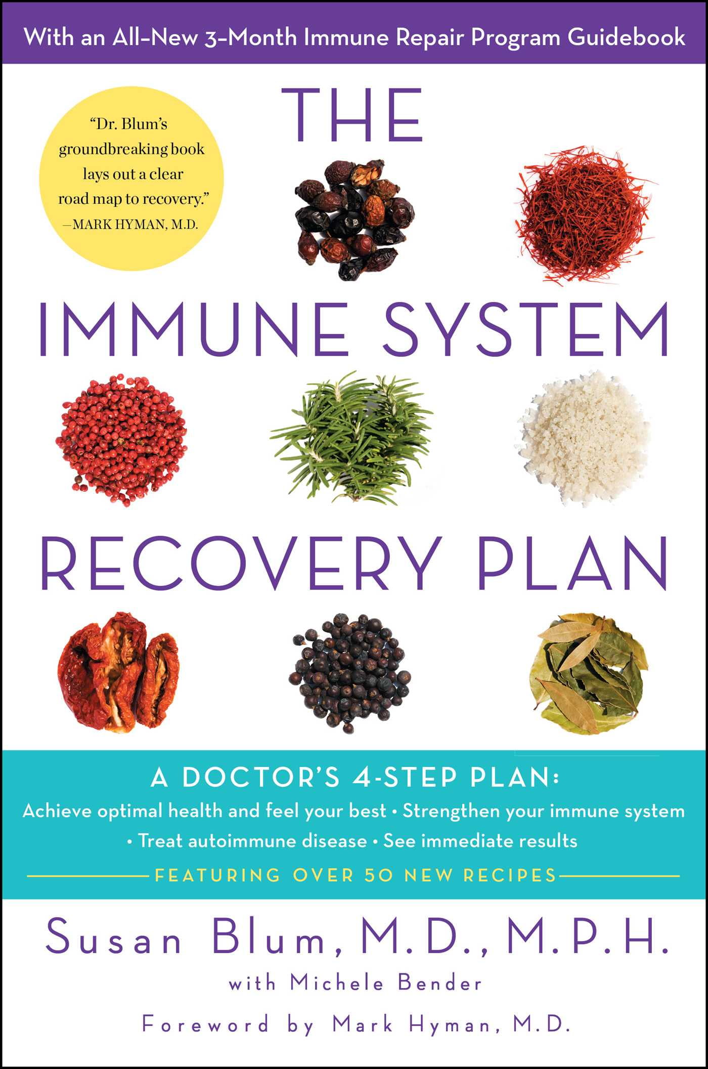 DR SUSAN BLUM; MICHELE BENDER; MARK HYMAN The Immune System Recovery Plan : A Doctor's 4-Step Program to Treat Autoimmune Disease (Hardcover)