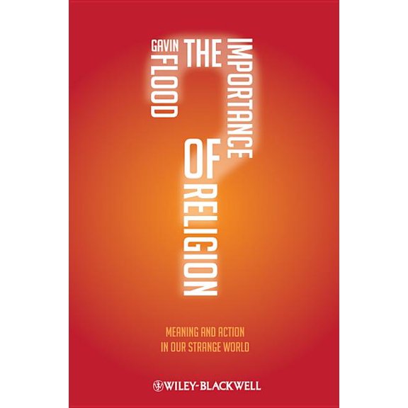 The Importance of Religion (Paperback)