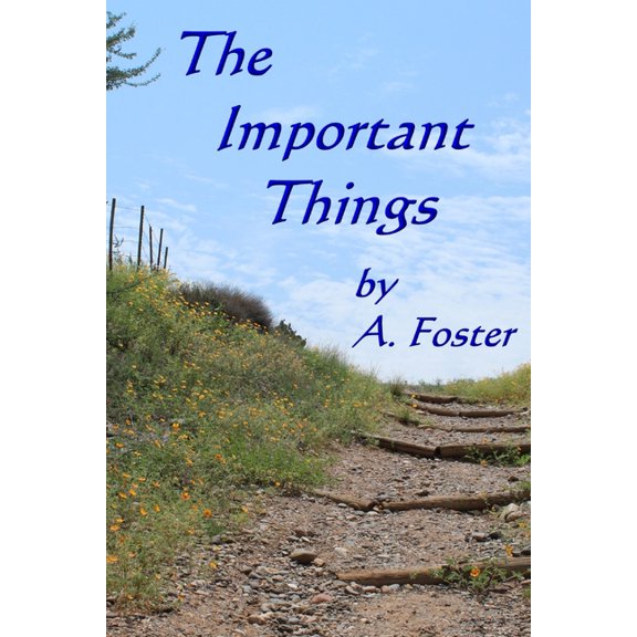 The Important Things (Paperback)