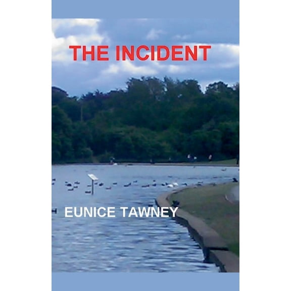 The Incident, (Paperback)