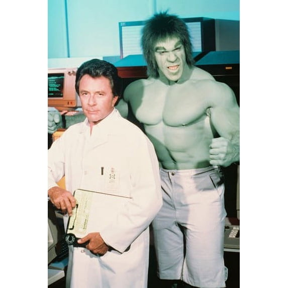 The Incredible Hulk 24x36 Poster Bill Bixy Lou Ferrigno - Walmart.com
