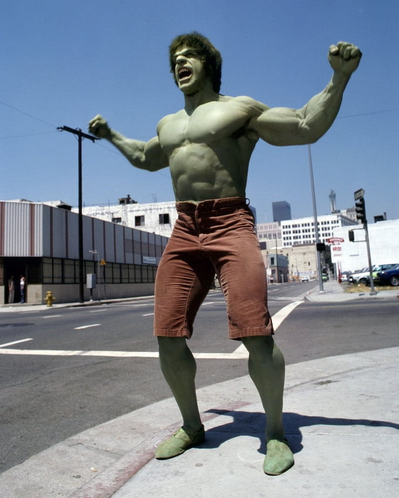 The Incredible Hulk Lou Ferrigno roaring in street muscles green 24x36 ...