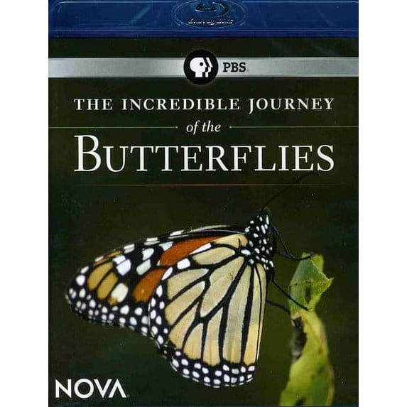The Incredible Journey of the Butterflies (Blu-ray), WGBH, Music & Performance