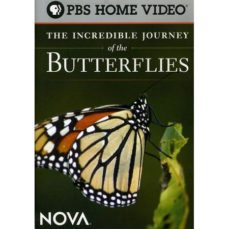 The Incredible Journey of the Butterflies (DVD), WGBH, Music & Performance