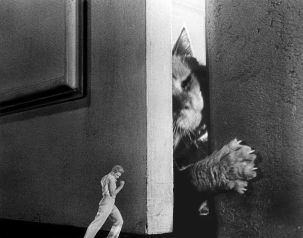 The Incredible Shrinking Man Canvas Art - (28 x 22)