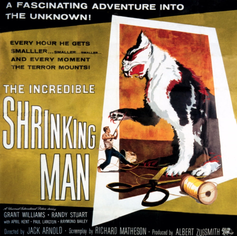 The Incredible Shrinking Man Canvas Art - (28 x 22)