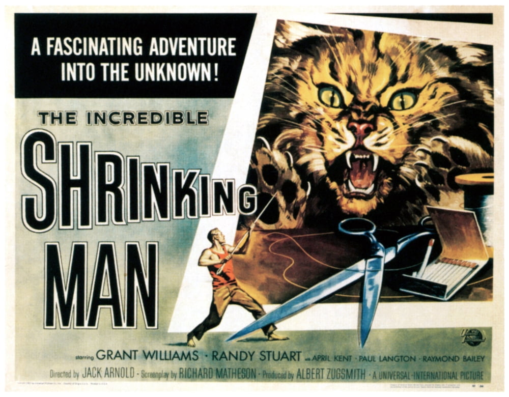 The Incredible Shrinking Man Canvas Art - (28 x 22)