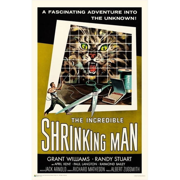 The Incredible Shrinking Man Classic Movie Mini Poster 11" x 17"