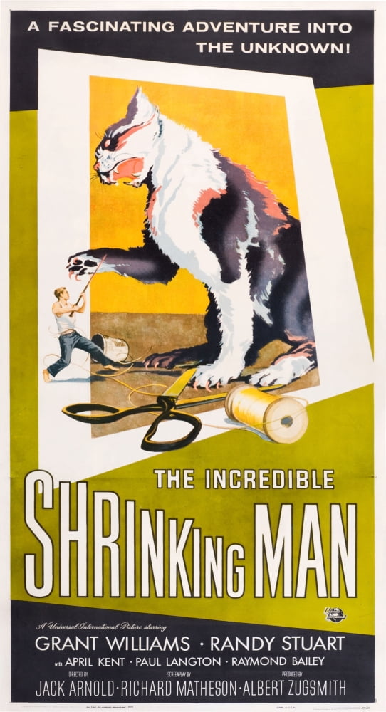 The Incredible Shrinking Man U Canvas Art - (11 x 17)