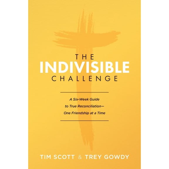 The Friendship Challenge : A Six-Week Guide to True Reconciliation--One Friendship at a Time (Paperback)