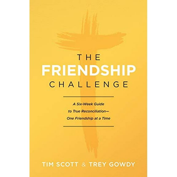 Pre-Owned The Friendship Challenge: A Six-Week Guide to True Reconciliation--One Friendship at a Time (Paperback) 1496430689 9781496430687