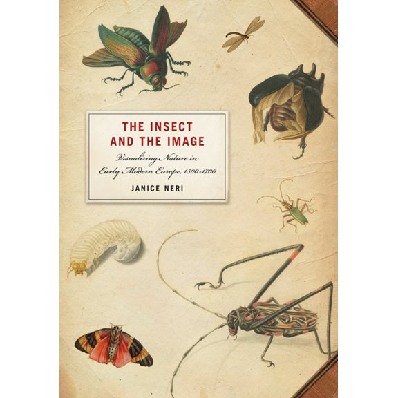 The Insect and the Image: Visualizing Nature in Early Modern Europe, 1500-1700, (Paperback)