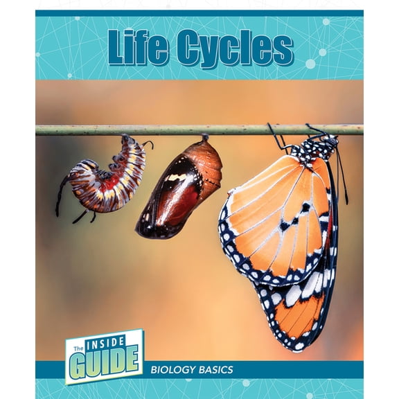 The Inside Guide: Biology Basics Life Cycles, (Paperback)