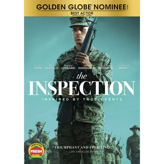 The Inspection (DVD) Standard