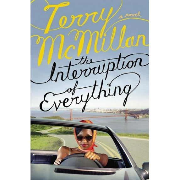 The Interruption Of Everything (MCMILLAN, TERRY)