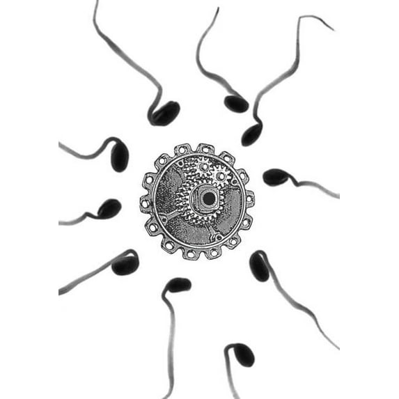 The Invention of Mother, (Paperback)