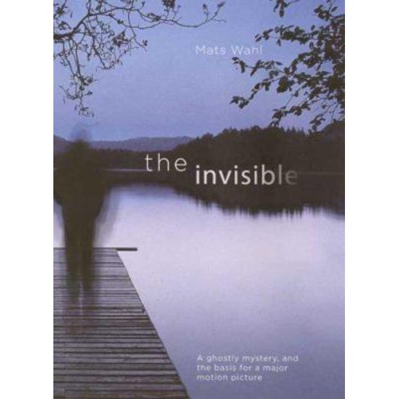Pre-Owned The Invisible (Hardcover) 0374336091 9780374336097