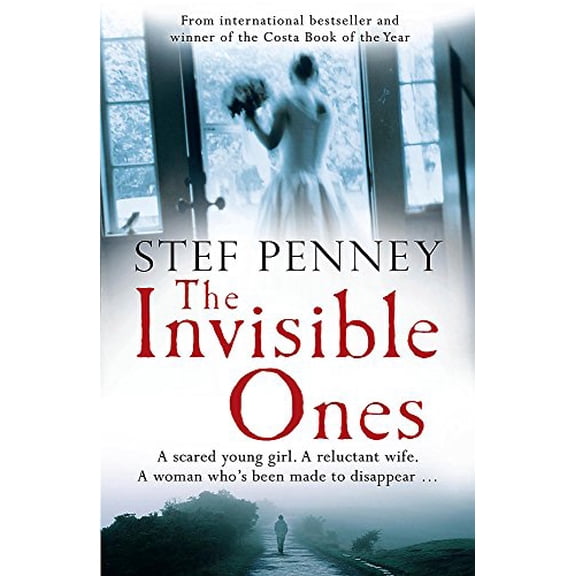 Pre-Owned The Invisible Ones (Paperback) 0857382942 9780857382948
