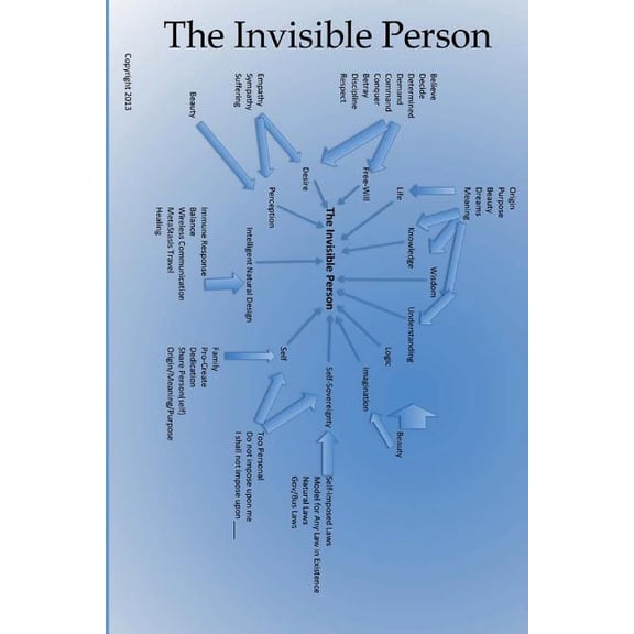 The Invisible Person (Paperback)