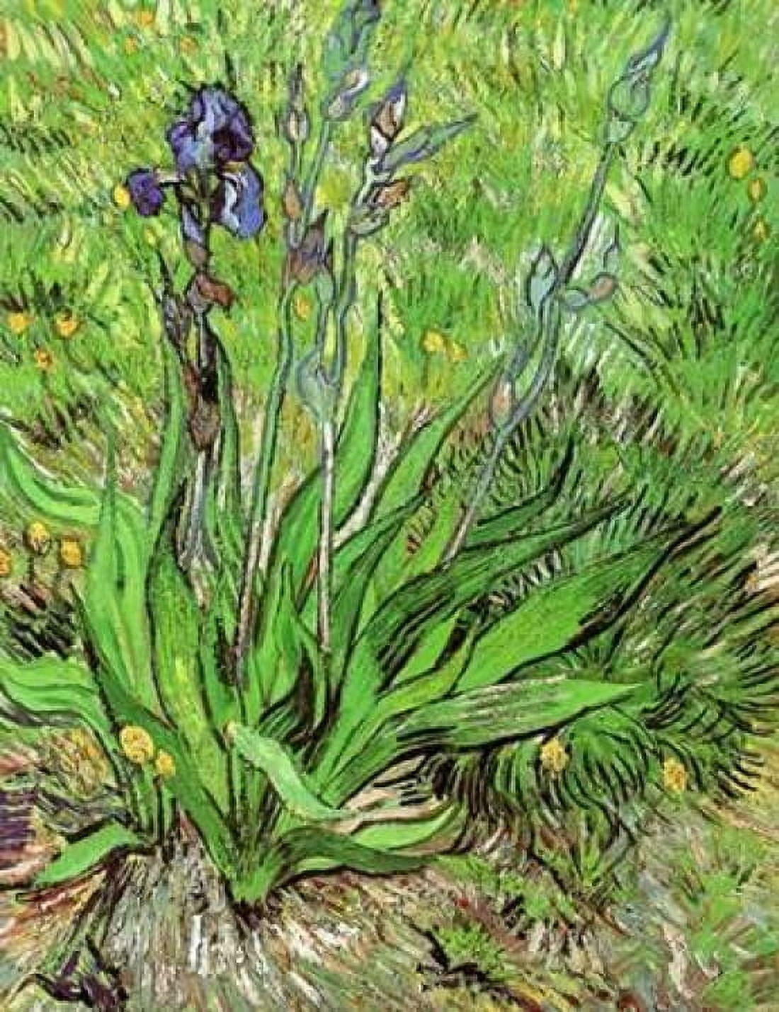 The Iris Canvas Art - Vincent Van Gogh (18 x 24)