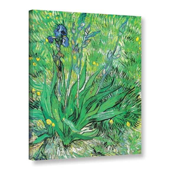 The Iris Gallery Wrapped Canvas