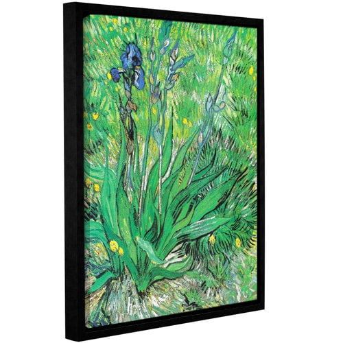The Iris Gallery Wrapped Floater-framed Canvas