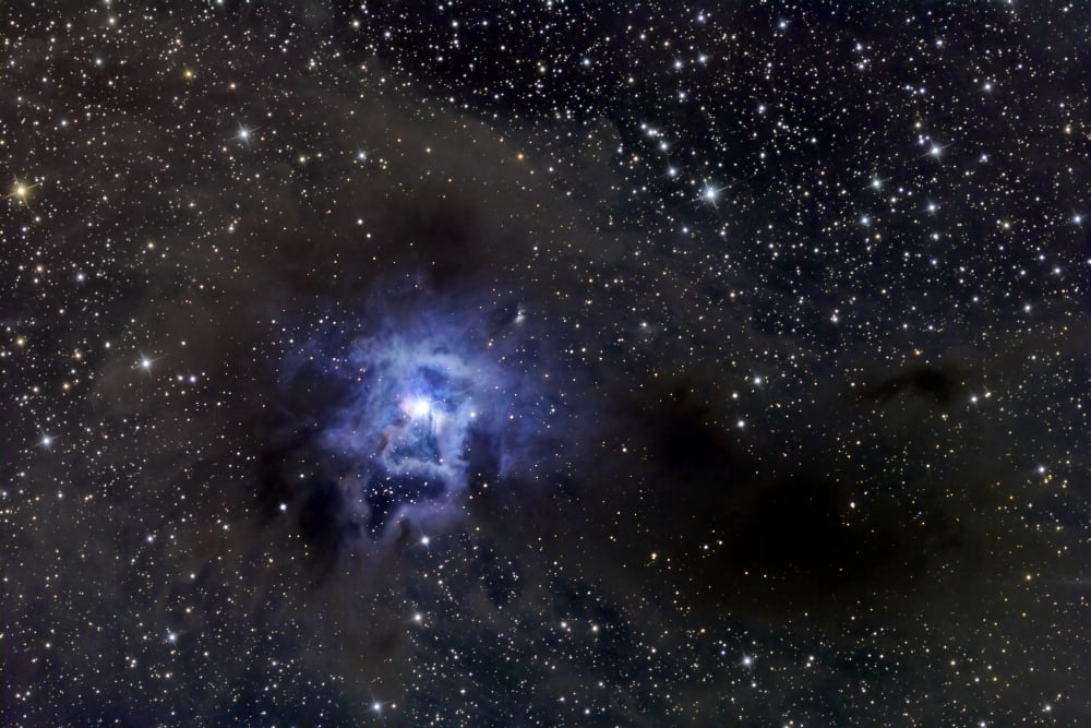 The Iris Nebula Canvas Art - Roth RitterStocktrek Images (35 x 23)