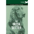 thumbnail image 1 of The Irish Setter - A Complete Anthology of the Dog, (Hardcover), 1 of 1