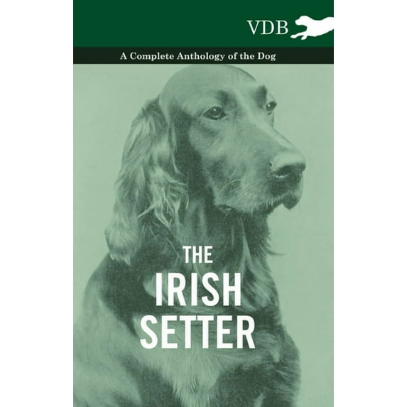 The Irish Setter - A Complete Anthology of the Dog, (Paperback)