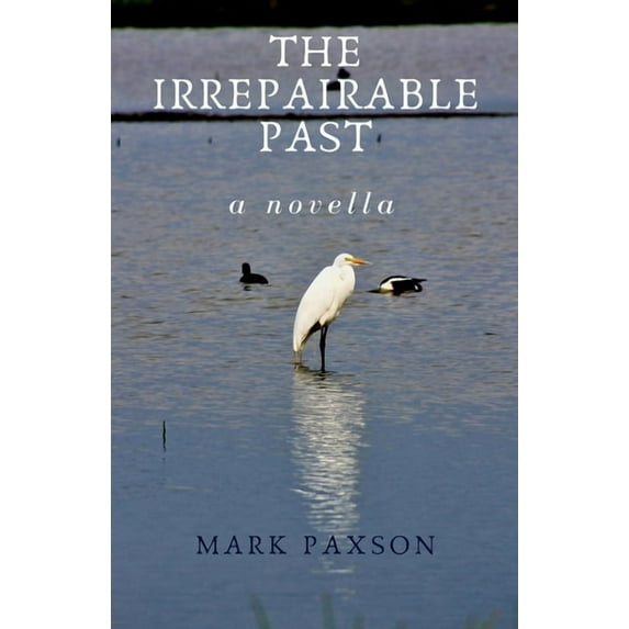 The Irrepairable Past Paperback Mark Paxson