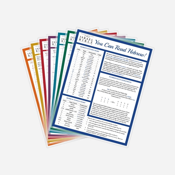 The Israel Bible Study Guide Series - Full Set of 7 Study Guides - Women, Men, Kings, Prophets and Places of The Bible, Learn to Read Hebrew and Aleph Bet Insights (Complete Set)