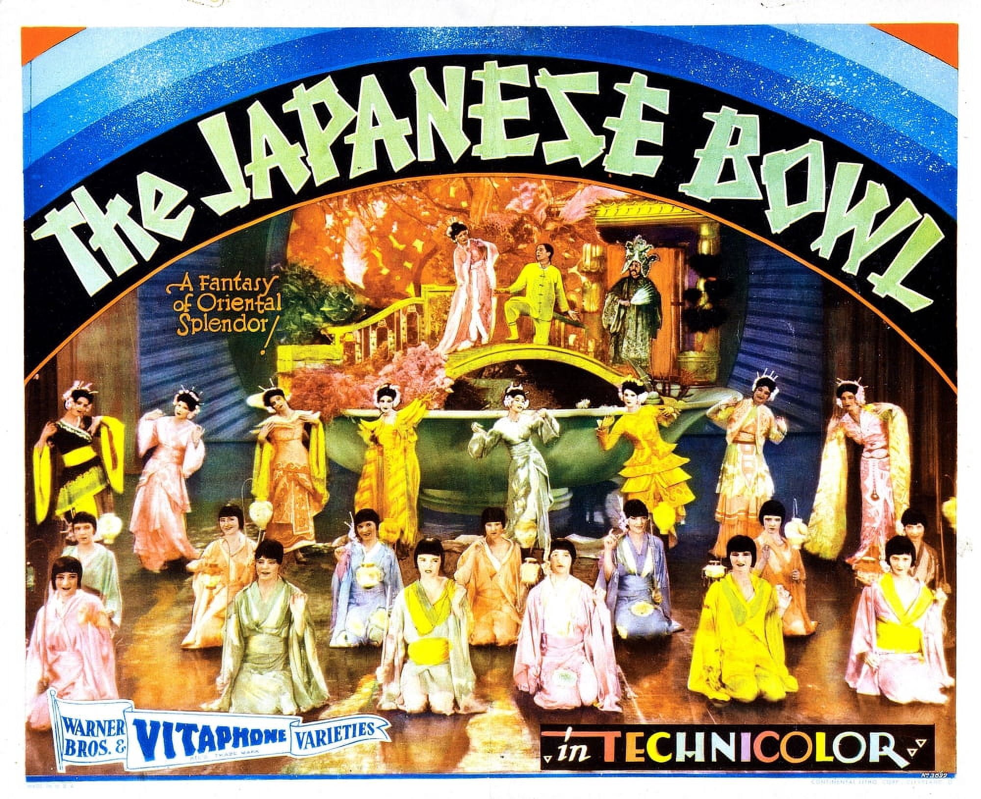 The Japanese Bowl Canvas Art - (28 x 22)
