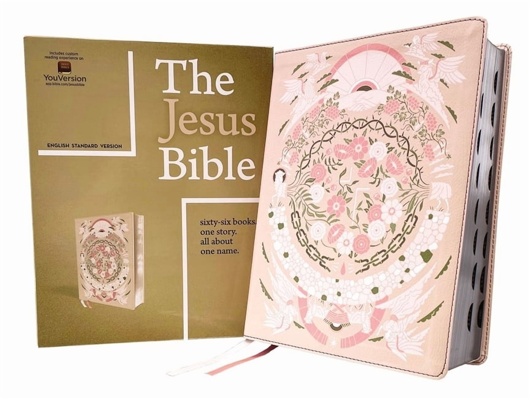 The-Jesus-Bible-Artist-Edition