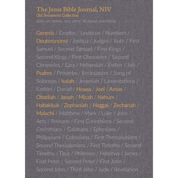The Jesus Bible Journal, Old Testament Collection, Boxed Set (5-Volume), Niv, Paperback, Comfort Print (Other)