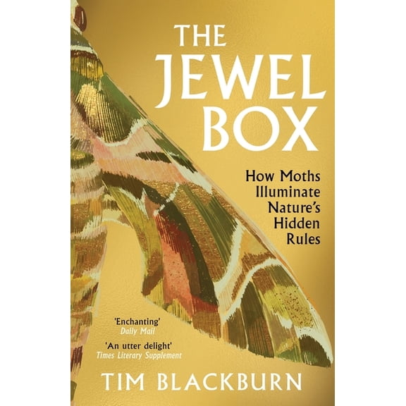 The Jewel Box: How Moths Illuminate Nature's Hidden Rules, (Paperback)