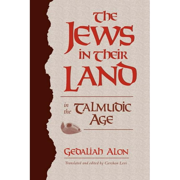 The Jews in Their Land in the Talmudic Age (Paperback)