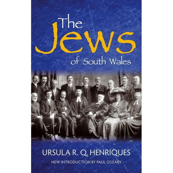 The Jews of South Wales (Paperback)