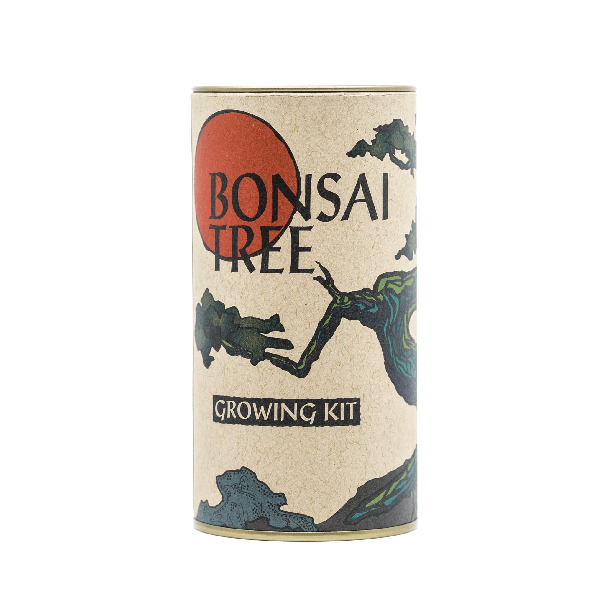 The Jonsteen Company Bonsai Tree Grow Kit