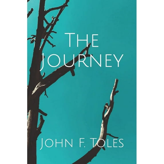 The Journey (Paperback)