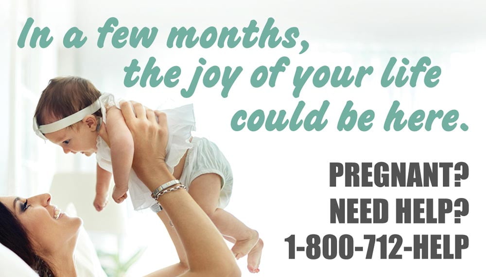 The Joy Of Your Life, Business Card Pro-Life Magnet (Pack of 50)